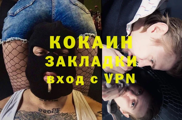 хмурый Няндома