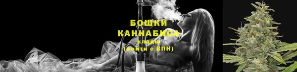 хмурый Няндома