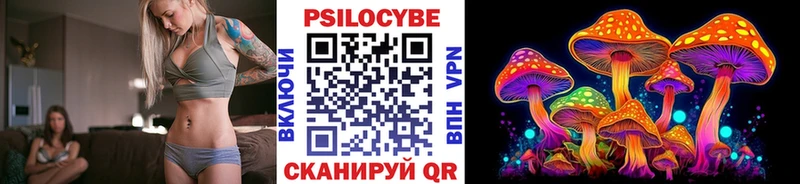 hydra ссылка закладка Себеж Псилоцибиновые грибы Cubensis